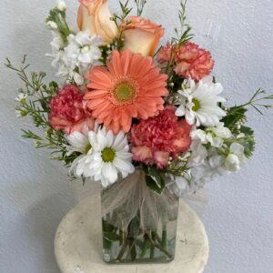 Peach Petals